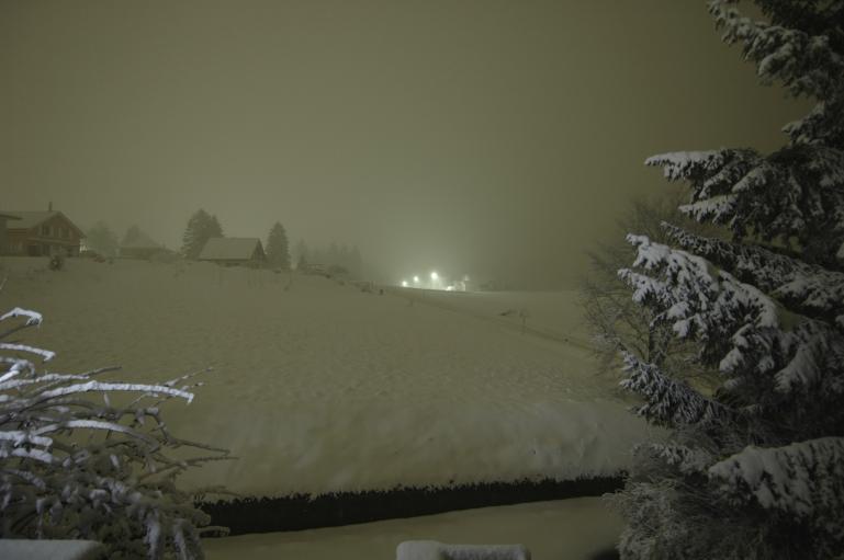 http://www.fourmilab.ch/fourmilog/archives/neige_2005-04-17.jpg